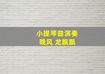 小提琴曲演奏 晚风 龙飘飘